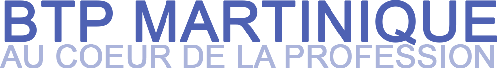 Offres D Emploi Btp Martinique